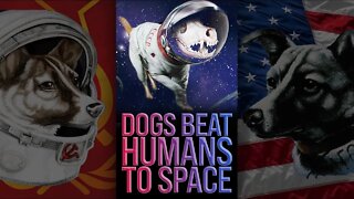 Dogs Beat Humans to Space 🚀 #shorts