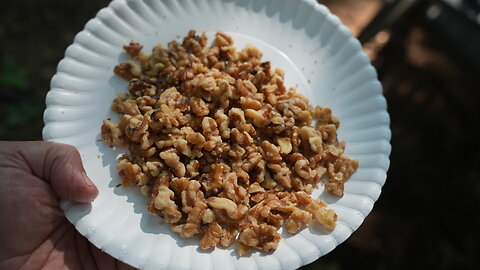 Tried giving chickens a new snack: walnuts.