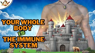 The Truth About IMMUNITY and The Factors That Free You From Illness