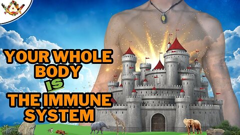 The Truth About IMMUNITY and The Factors That Free You From Illness