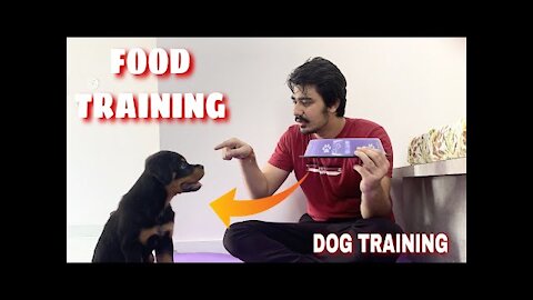 How To Make Dog Become Fully Aggressive With Few Simple Tips || 2021