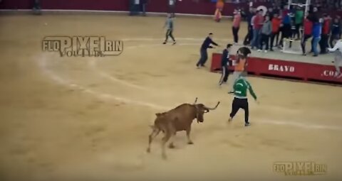 Dangerous Bull Fight Accidents Compilation 2018 Lucky and Funny People Fail