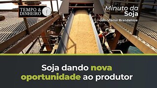 Soja dando nova oportunidade ao produtor