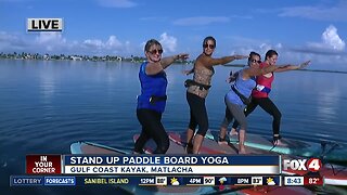 Stand up paddle board yoga in Matlacha Live Hit 08:30a