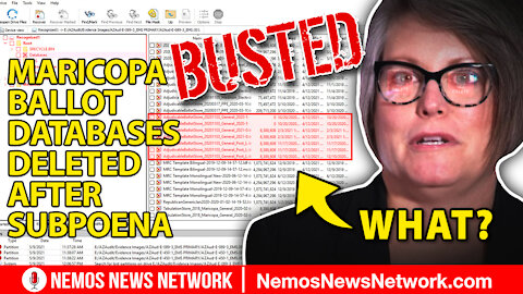 BUSTED! Maricopa Ballot Databases Deleted. Plus... MOAB Drops on Michigan Audit