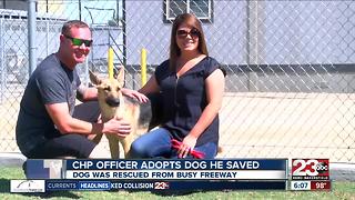 CHP officer adopts dog he saved