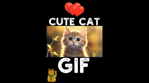 Cute Cat Gif