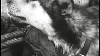 With Byrd at the South Pole | 1929 -1930 | Antarctic Expedition