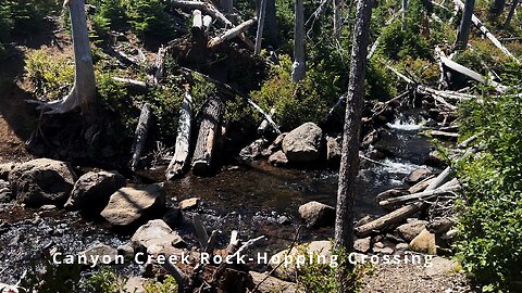 BITE SIZED WILDS | Approach to ROCK-HOPPING Canyon Creek (Old Summit Trail to Wasco Lake) 4K Oregon