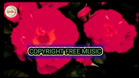 Best copyright free Harmonium Indian instrumental background music for content creation.