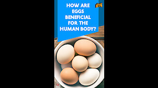 Top 4 Health Benefits Of Consuming Eggs Once In Your Everyday Meal *