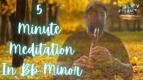 5 Minute Native American Flute Meditation in Bb Minor