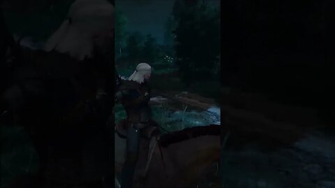 The Misadventures of Geralt & Roach #shorts