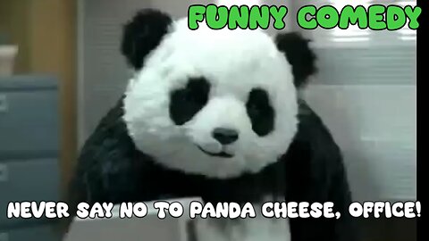 Never say no to panda cheese, Office - Funny Comedy - LaughingSpreeMaster