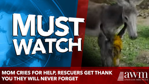 Mom Cries For Help, Rescuers Get Thank You They Will Never Forget