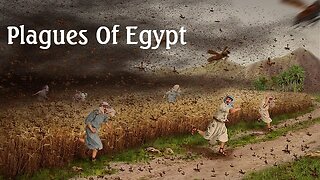 PLAGUES OF EGYPT #78