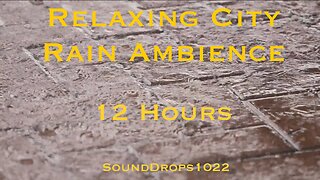 12-Hour City Rain Symphony: Relaxing Concrete Sounds