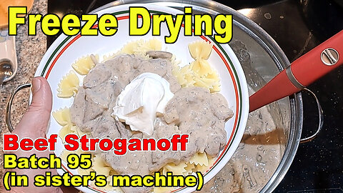 Freeze Drying 8 lbs of Beef Stroganoff - Batch 95 of my Sister's Machine