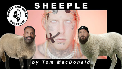 Sheeple by Tom MacDonald - A Cedric and Brian Reaction