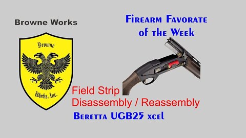 Cleaning takedown of Beretta UGB25 Xcel Shotgun