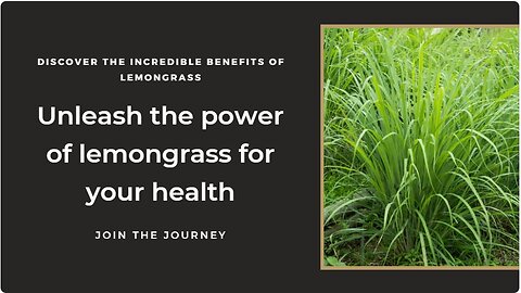The Power of Lemongrass: 12 Benefits to Explore