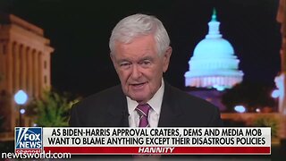 Newt Gingrich on Fox News Channel's Hannity | November 11, 2021