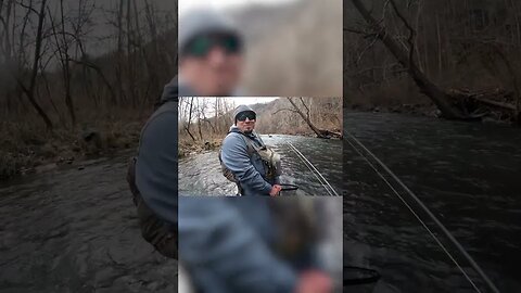 3 BIG Brown Trout in 60 Seconds! #shorts #fishing