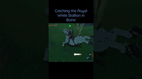 Royal White Stallion - Breath of the Wild #shorts #botw