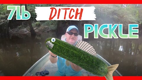 7lb Ditch Pickle