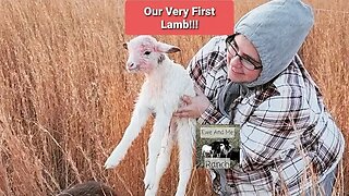 Our First Lamb on our Homestead!