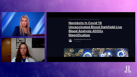 Nanotechnology and Transhumanism Unfolding Before our Eyes with Dr. Mihalcea