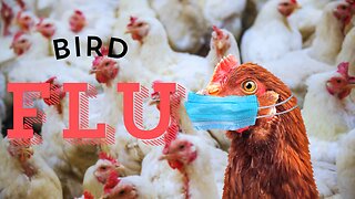 PREPARE for the BIRD FLU! New covid-like lockdowns! | Arresting citizens for speaking out!