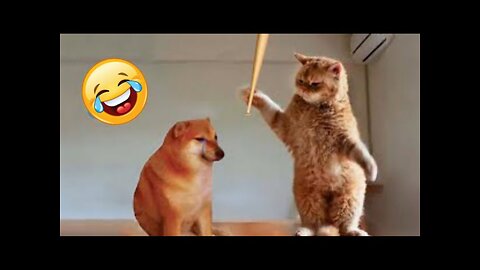 Funny Animal Videos 2023 🥰 - Funniest Dogs and Cats Videos 😁 #3