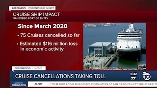 Cruise ship tourism losses to $100 million