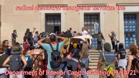 radical democrat insurgents