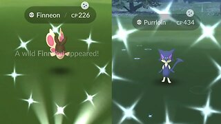 Shiny Hunting