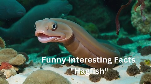 Interesting Facts "Hagfish: The Slimy Escape Artist of the Ocean"