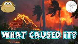 What Caused The Maui Fire? - MITAM