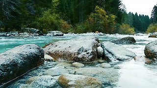 Relaxing Music Piano with Sounds of Mountain Rivers and Forest Birds Singing