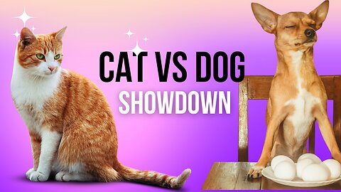 Paws and Claws Showdown: Hilarious Dog vs. Cat Brawls!