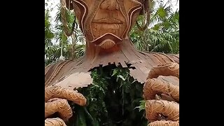 Incredibly beautiful jungle entrance to the beach