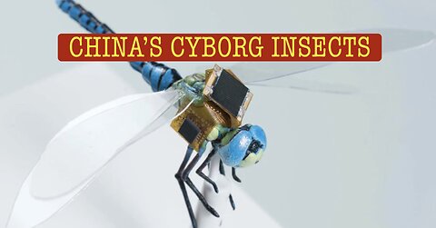 CHINA'S CYBORG INSECTS