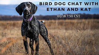 Pheasant Fest, Texas Quail Hunting, and Social Media - Birddog Chat