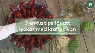 16:9 – 5 enkla tips för att lyckas med kräftskivan (2)