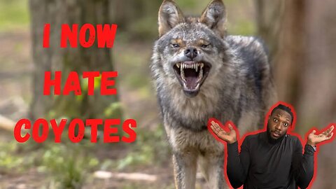 THIS video will make you HATE Coyotes!