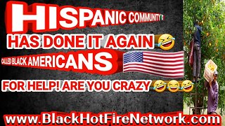 HISPANIC COMMUNITY HAS DONE IT AGAIN CALLED BLACK AMERICANS FOR HELP! ARE YOU CRAZY HELL NO
