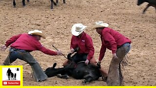 Calf Branding - 2022 Coors Cowboy Club Ranch Rodeo | Friday