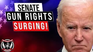 Gun Rights candidates are STILL SURGING for the Senate! Could they take it to 54 - 46 Republican?!