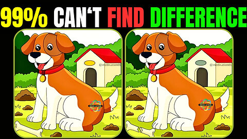 Spot The Difference : Can You Find All[ Find The Difference #29]