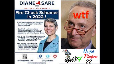 Diane Sare is taking on Chuck Schumer in the 2022 Senate elections!